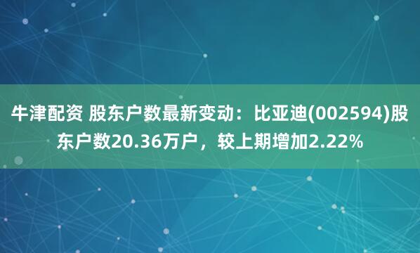 牛津配资 股东户数最新变动：比亚迪(002594)股东户数20.36万户，较上期增加2.22%