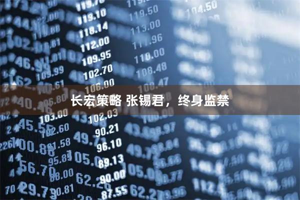 长宏策略 张锡君，终身监禁