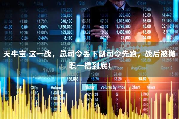 天牛宝 这一战，总司令丢下副司令先跑，战后被撤职一撸到底！