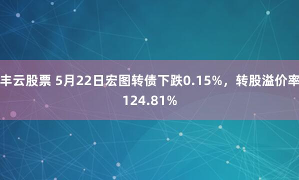丰云股票 5月22日宏图转债下跌0.15%，转股溢价率124.81%