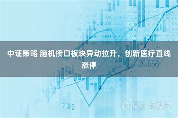 中证策略 脑机接口板块异动拉升，创新医疗直线涨停