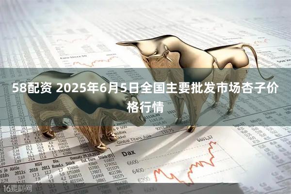 58配资 2025年6月5日全国主要批发市场杏子价格行情