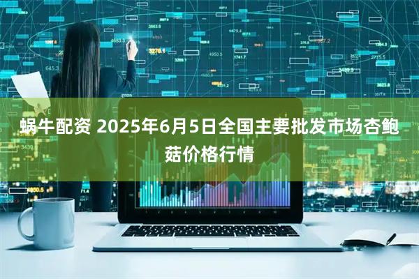 蜗牛配资 2025年6月5日全国主要批发市场杏鲍菇价格行情