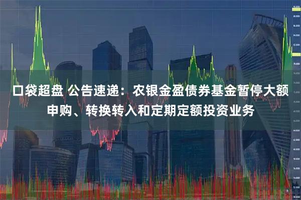 口袋超盘 公告速递：农银金盈债券基金暂停大额申购、转换转入和定期定额投资业务