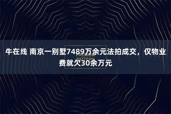 牛在线 南京一别墅7489万余元法拍成交，仅物业费就欠30余万元