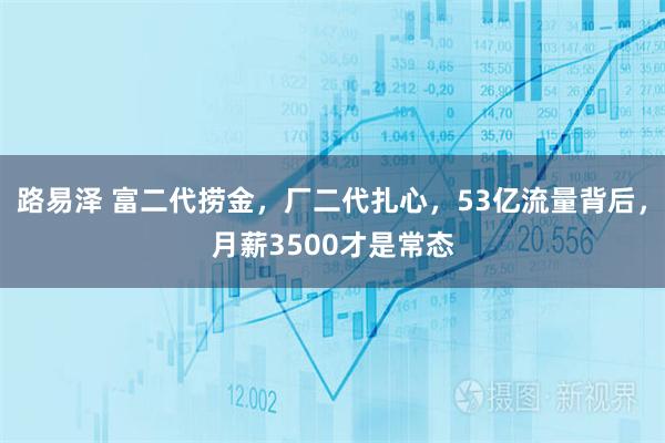 路易泽 富二代捞金，厂二代扎心，53亿流量背后，月薪3500才是常态