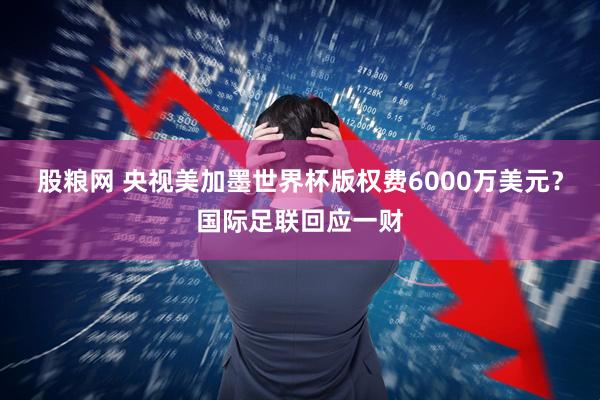 股粮网 央视美加墨世界杯版权费6000万美元？国际足联回应一财